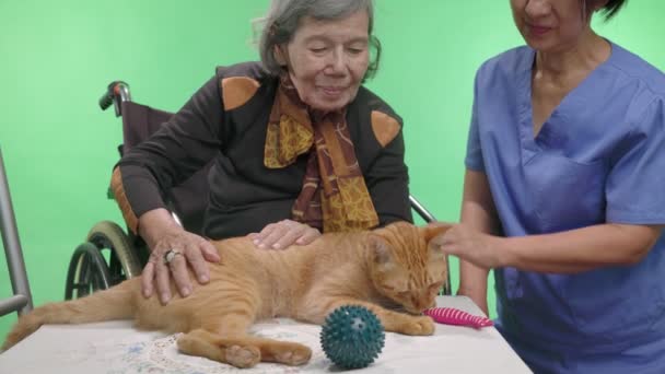 Pets Therapy Membantu Demensia Tua Latar Belakang Kunci Chroma — Stok Video