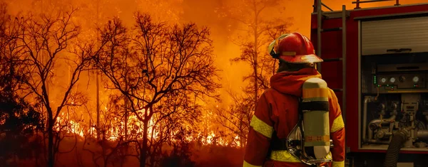 Brandweerman Blussen Wildvuur Met Brandweerwagen — Stockfoto