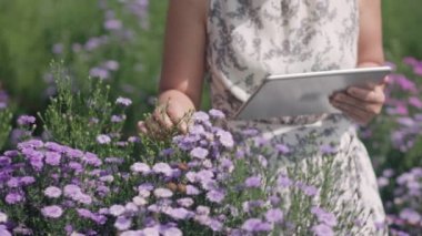 Orta yaşlı Asyalı kadın bahçedeki çiçeklerin kalitesini kontrol ederken tablet kullanıyor..