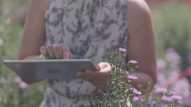 Mujer Asiática Mediana Edad Usando Una Tableta Mientras Comprueba Calidad — Vídeos de Stock