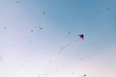 Gökyüzünde bir sürü farklı uçurtma uçuyor.