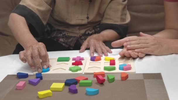 Verzorger Senior Vrouw Spelen Houten Vorm Puzzels Spel Voor Dementie — Stockvideo