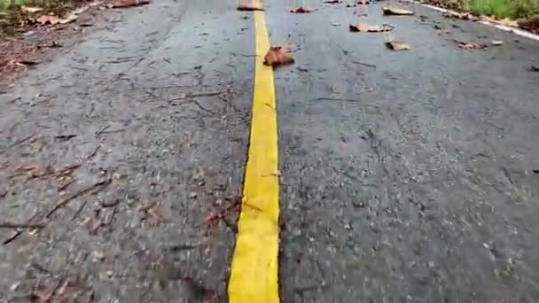 雨后湿沥青路面上的干叶 — 图库视频影像