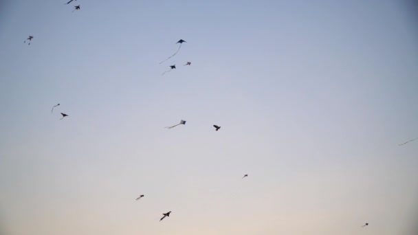 Molti Aquiloni Diversi Stanno Volando Nel Cielo — Video Stock