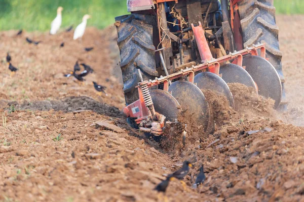 Trator Campo Cultivo Para Preparação Terras Agrícolas — Fotografia de Stock