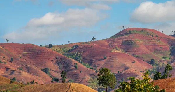 Destruction Des Forêts Pour Culture Itinérante Thaïlande — Photo