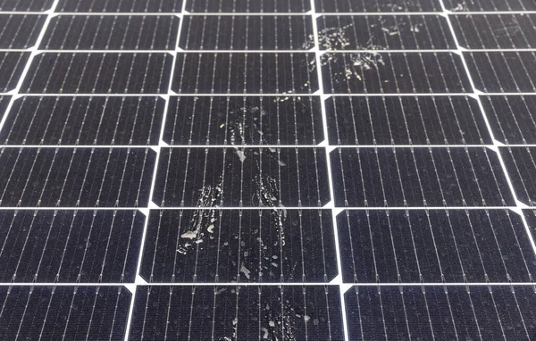 Huella Aves Superficie Del Panel Solar Fotovoltaico — Foto de Stock