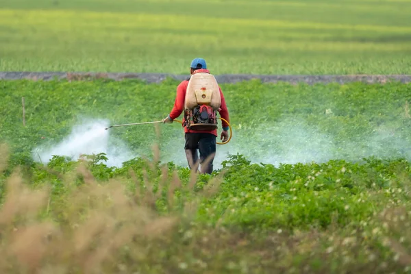 Agricultor Rociando Pesticida Campo Soja —  Fotos de Stock