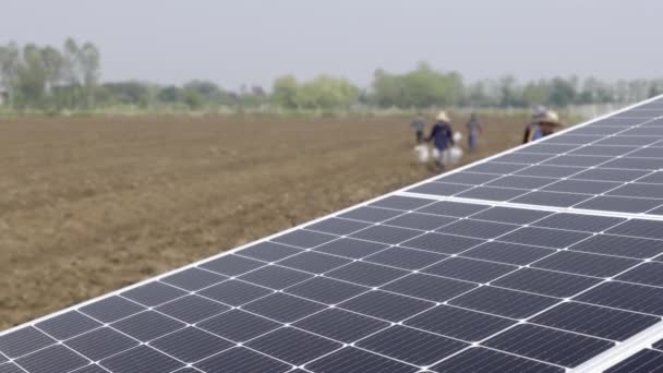 Panel Solar Para Bomba Agua Agricultor Campo Agrícola — Vídeos de Stock