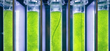 Algae fuel biofuel industry lab researching for alternative to fossil algae fuel or algal biofuel. clipart