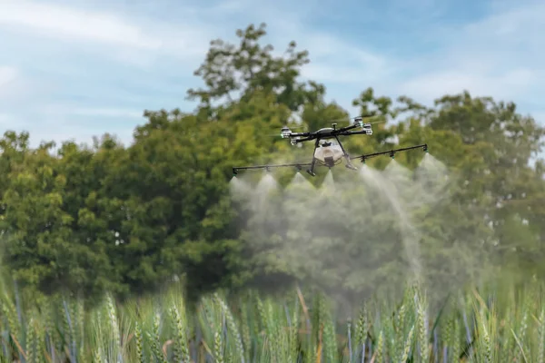 Drone Spray Pesticide Tarweveld — Stockfoto