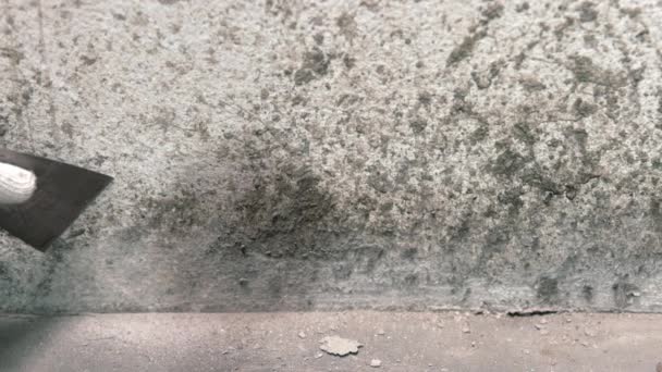Renovação Casa Pintor Raspando Detritos Concreto Parede Derramar Nova Camada — Vídeo de Stock
