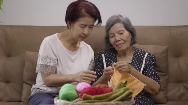 Elderly Woman Daughter Knitting Together Protect Dementia Memory Loss — Stockvideo