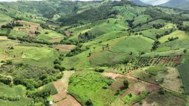 The biggest cause of forest loss in Thailand is agricultural deforestation ,environmental damage in Southeast Asia , global warming and environment.