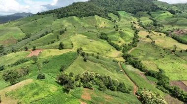 The biggest cause of forest loss in Thailand is agricultural deforestation ,environmental damage in Southeast Asia , global warming and environment.