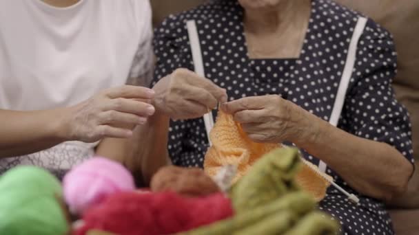 Elderly Woman Daughter Knitting Together Protect Dementia Memory Loss — Vídeo de Stock