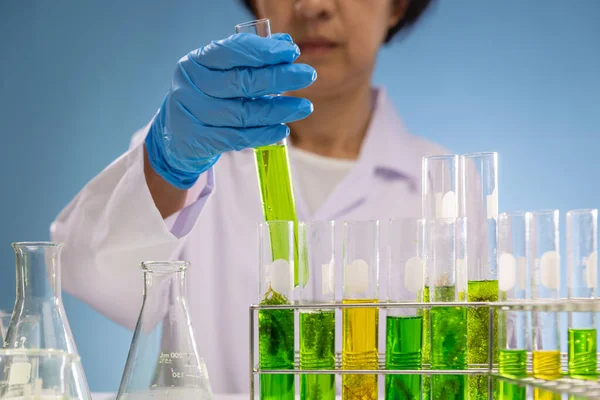 Scientists Researching Algae Energy Reliable Biofuel Source — Foto Stock