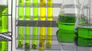 Scientists are researching algae energy for reliable biofuel source.