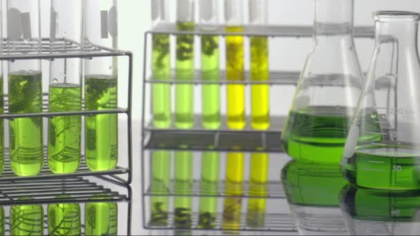 Scientists Researching Algae Energy Reliable Biofuel Source — Vídeos de Stock