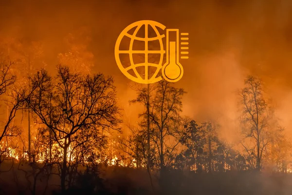 Wildfires Release Co2 Emissions Other Greenhouse Gases Ghg Contribute Climate — Stock fotografie