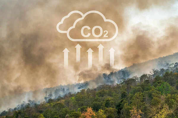 Wildfires Release Co2 Emissions Other Greenhouse Gases Ghg Contribute Climate — Stockfoto