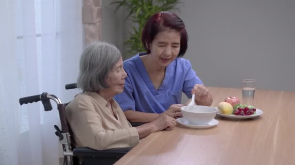 Cuidador Alimentando Idosos Asiático Mulher Com Sopa — Vídeo de Stock
