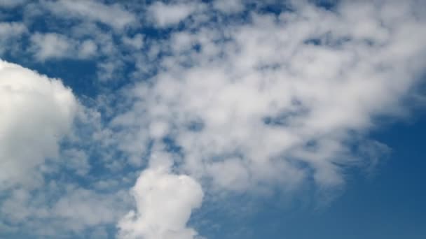 Пухкими хмари — стокове відео