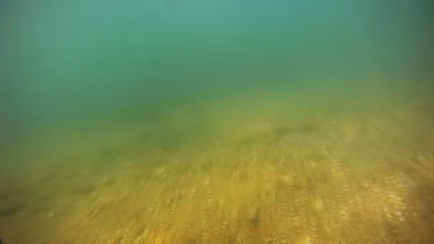 水下作业 — 图库视频影像