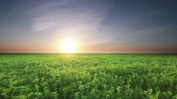 Panorama del paisaje — Vídeos de Stock