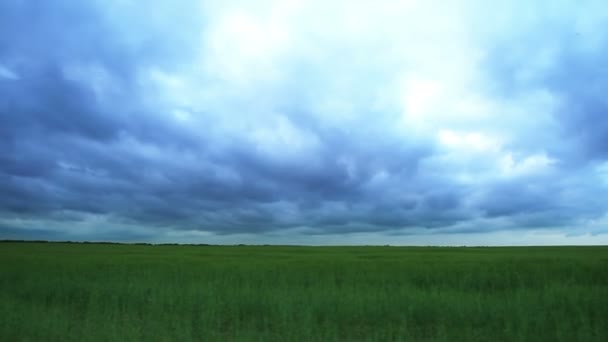 Panoráma a zöld mező és az égbolt — Stock videók