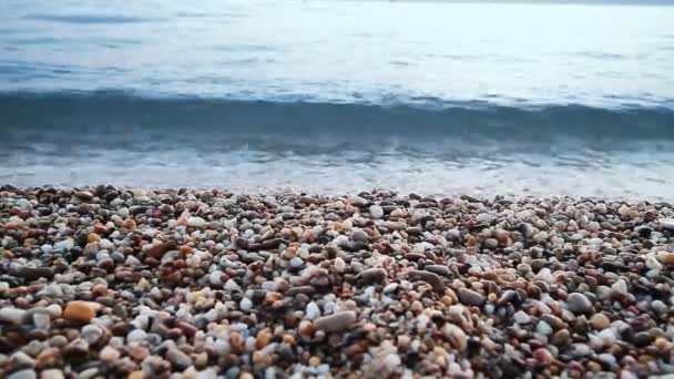海滩的石头 — 图库视频影像