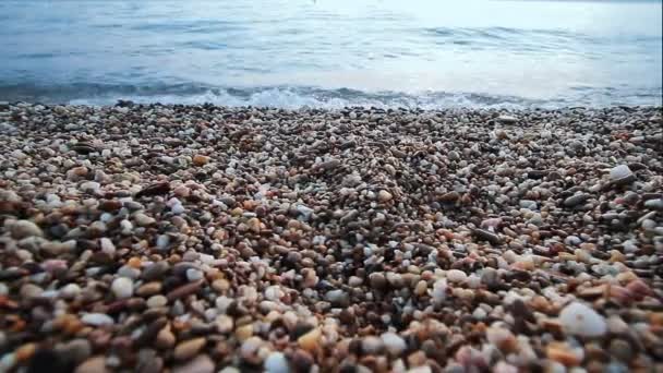 Beach stones — Stock Video