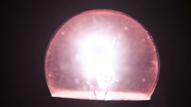 Bulb lampa — Stockvideo