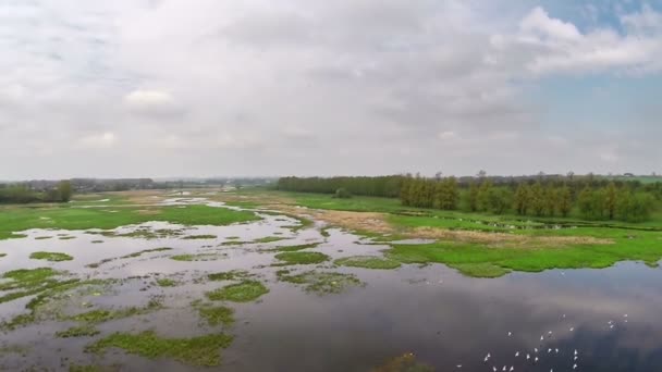 Létání nad řekou na jaře — Stock video