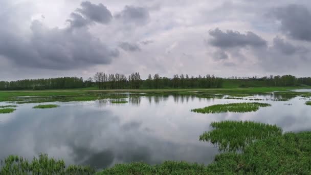 Політ над весняною річкою — стокове відео