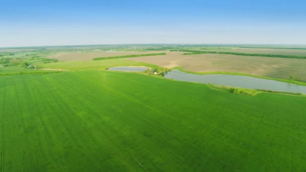 Tiro aéreo: Voando sobre os campos — Vídeo de Stock