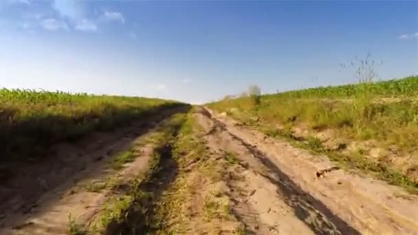 Estrada aldeia — Vídeo de Stock