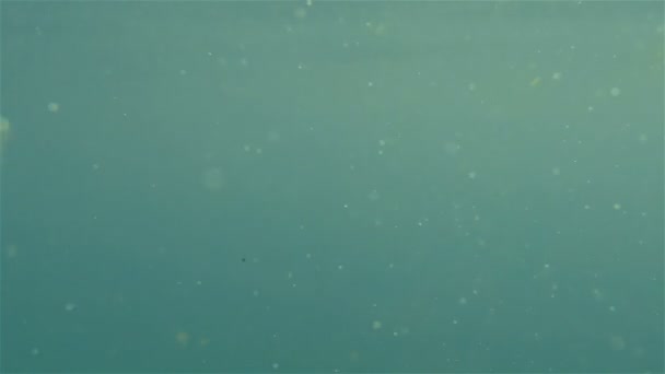 水中の背景 — ストック動画