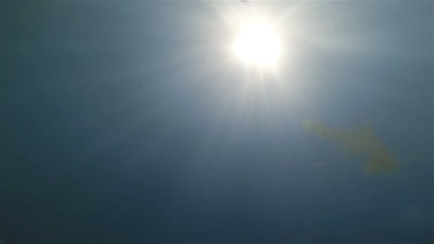 Rayos de sol subacuáticos y buceador — Vídeo de stock