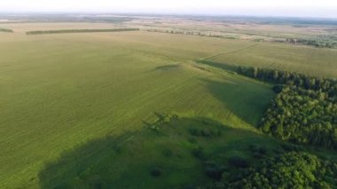 Tarlaların ve ormanların üzerinde uçuyor