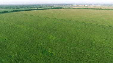 Tarlaların ve ormanların üzerinde uçuyor