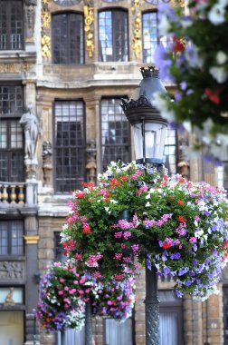 detay grand place, brussels, Belçika