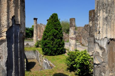 pompeii bir evde bahçeli-iç mekân