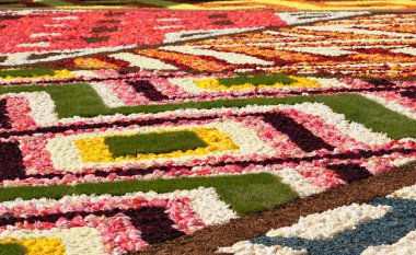 çiçek halı Brüksel grand place üzerinde Ayrıntılar