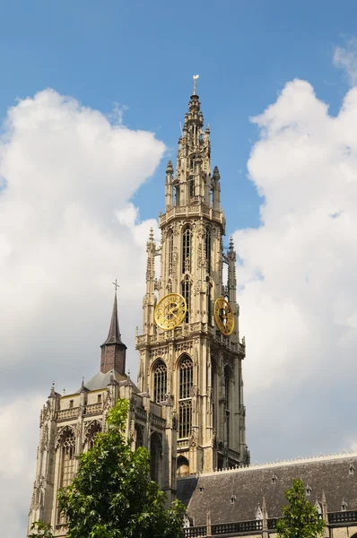 Toren van middeleeuwse kathedraal van onze lieve vrouw in Antwerpen bekend vanaf 1352 — Stockfoto