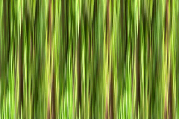 Fundo abstrato com listras verticais verde e marrom — Fotografia de Stock