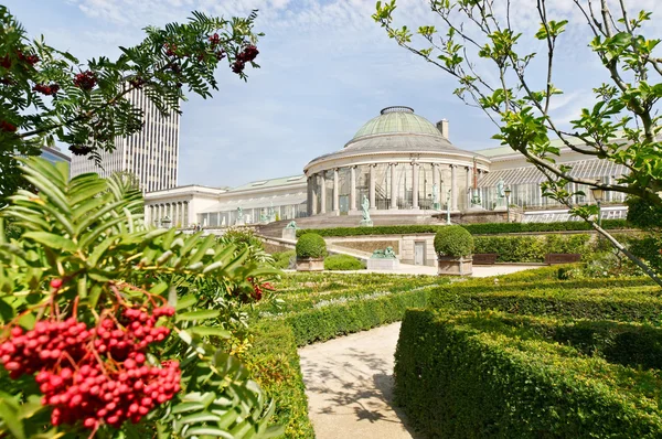 Center of Botanique, public garden in Brussels, Belgium in early autumn — Stock Photo, Image