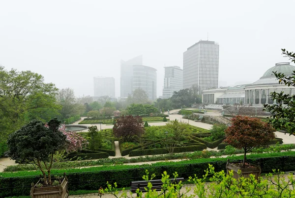 Botanique - big garden in center of brussels in misty spring day — Stock Photo, Image