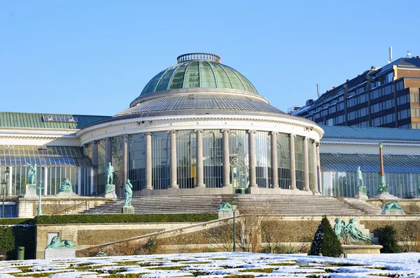 Zentrum des botanischen Parks im winterlichen Rossel, Belgien — Stockfoto