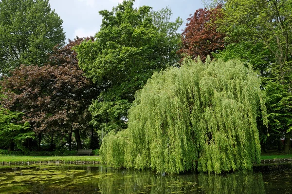 Park sobieski Brüksel, Belçika — Stok fotoğraf
